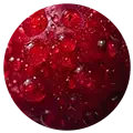 Hyaluronic acid