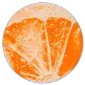 Vitamin C